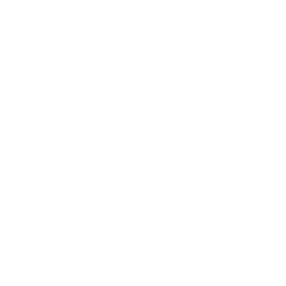 Country Service Auto Transport logo